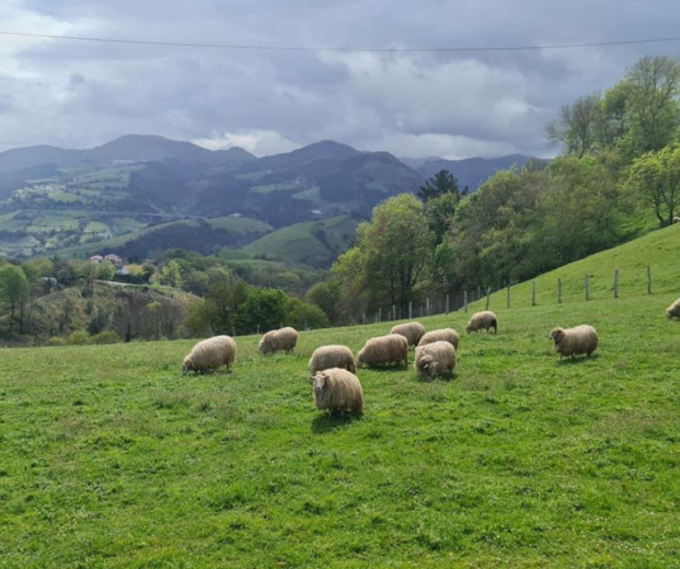 Imagen 5 - Camino del Norte