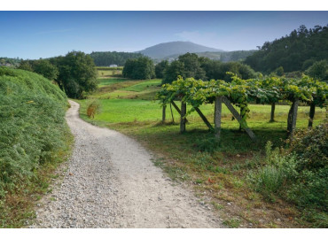 Camino Portugués