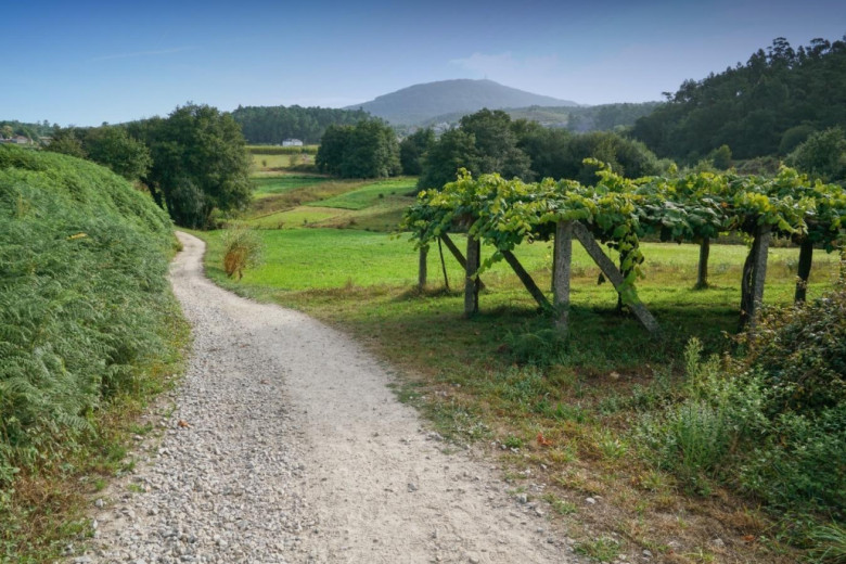 Imagen 1 - Camino Portugués