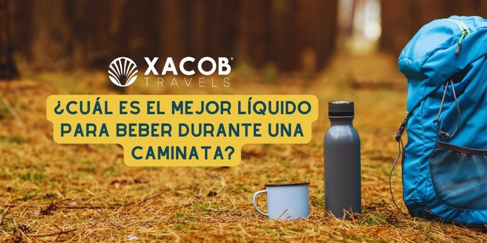 ¿Cuál es el Mejor Líquido para Beber Durante una Caminata?