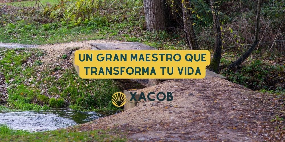 El Camino de Santiago: Un Gran Maestro que Transforma tu Vida