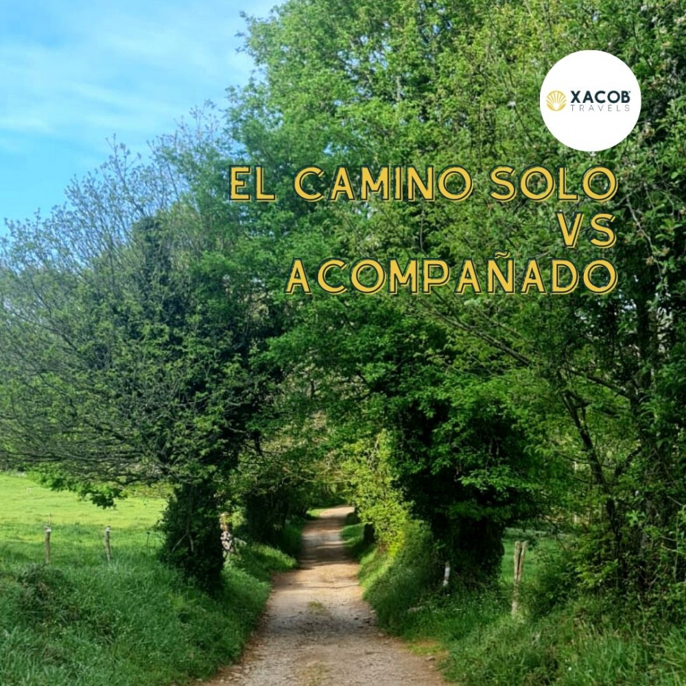 El Camino de Santiago Solo VS Acompañado