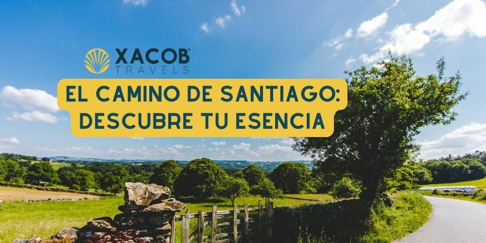 El Camino de Santiago: Descubre tu Esencia