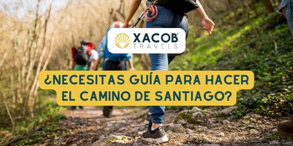 ¿Necesitas Guía para Hacer el Camino de Santiago?