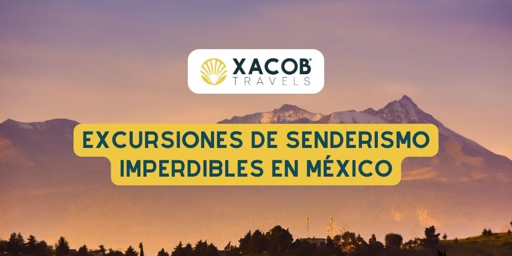 Prepárate para el Camino: Excursiones de Senderismo Imperdibles en México