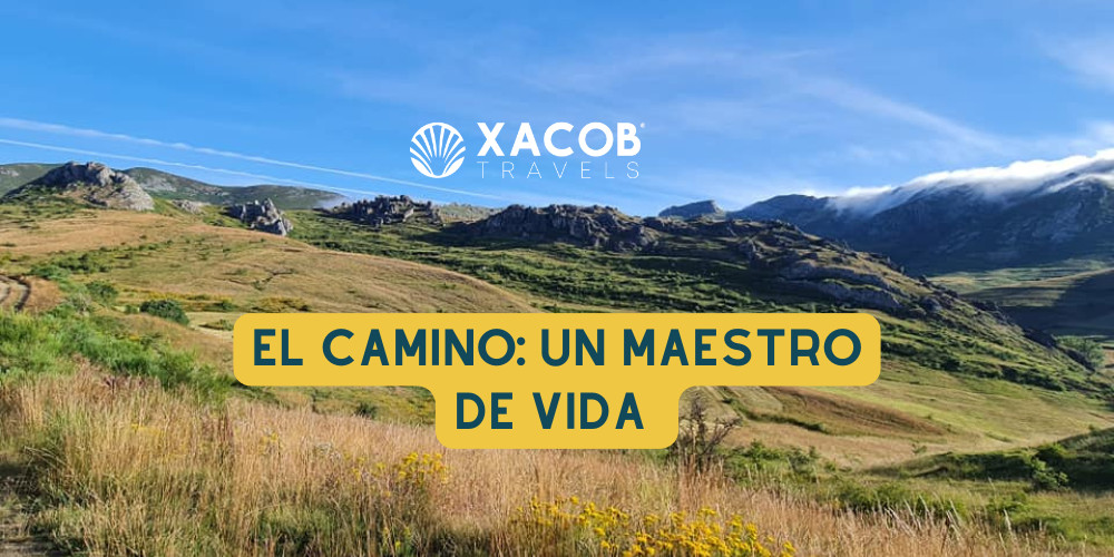 El Camino de Santiago: Un Maestro de Vida para Todos los Peregrinos