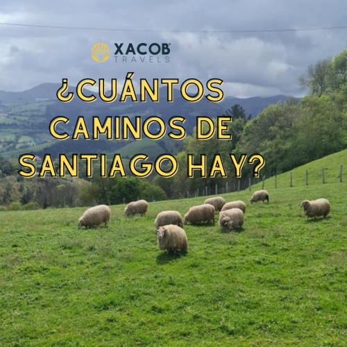 ¿Cuántas Rutas hay en el Camino de Santiago?