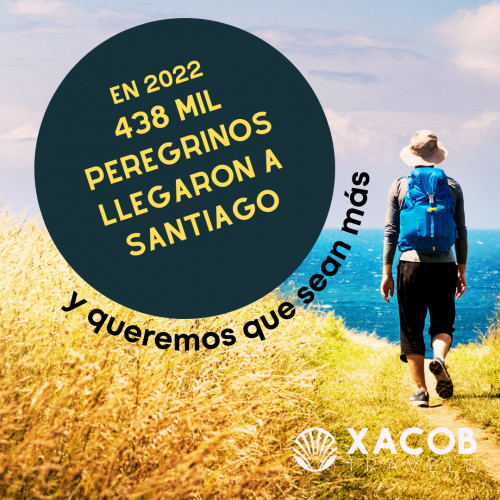 ¿Cuántos Peregrinos van al Camino de Santiago?