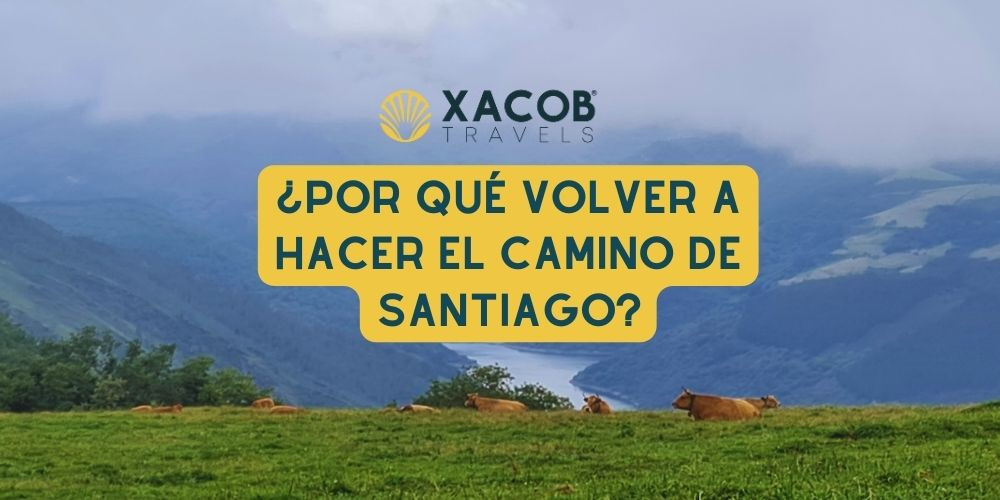 ¿Por qué volver a Hacer el Camino de Santiago?